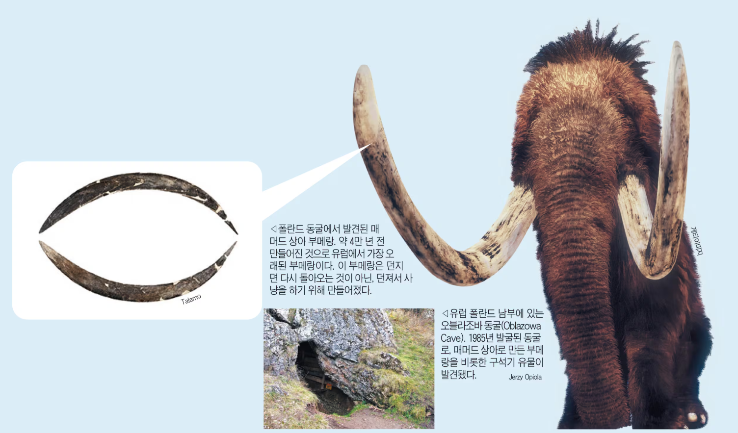 구석기 시대 '매머드 상아 부메랑' 발견됐어요
