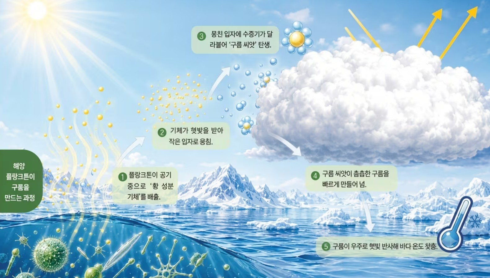 플랑크톤이 만든 구름, 남극 온도 낮출 수 있대요!