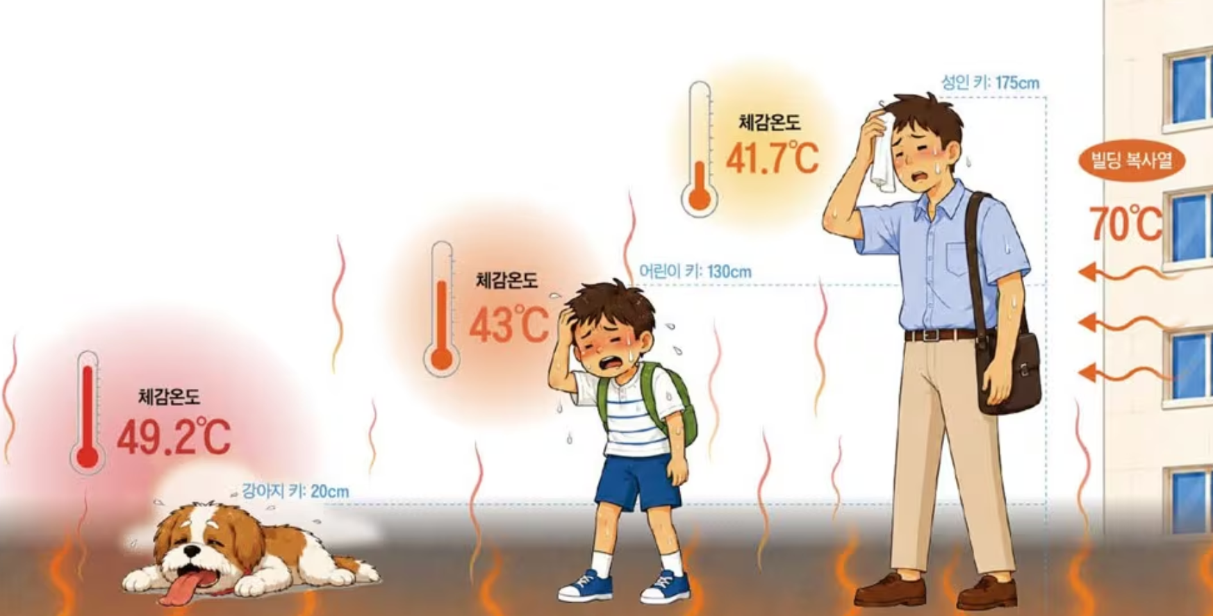 70℃까지 오르는 길바닥 복사열...키 작은 어린이, 강아지는 더 위험!
