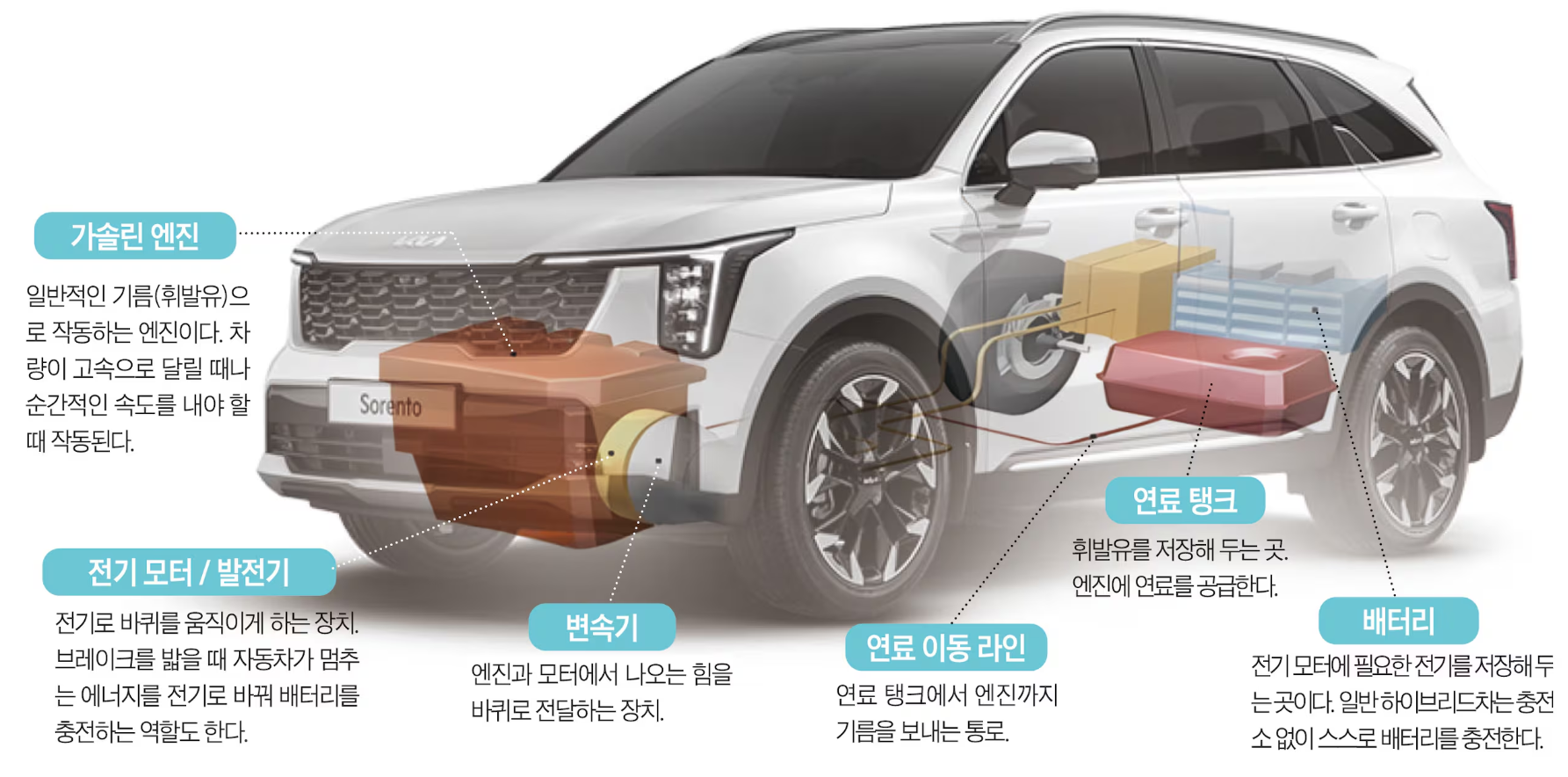 전기차 '캐즘' 메우는 '하이브리드' 자동차