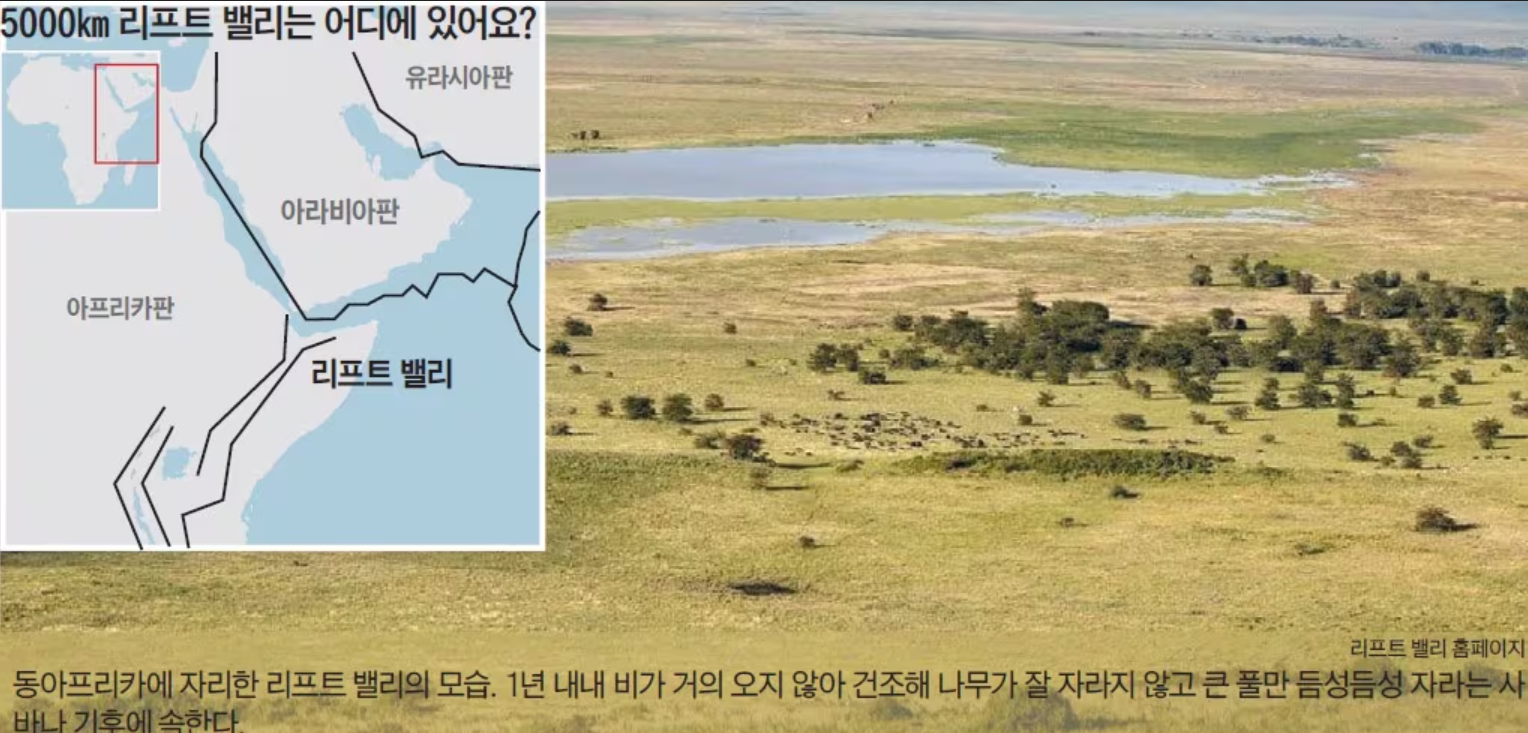 루시가 두 발로 걷기 시작한 '리프트 밸리'에 있대요!