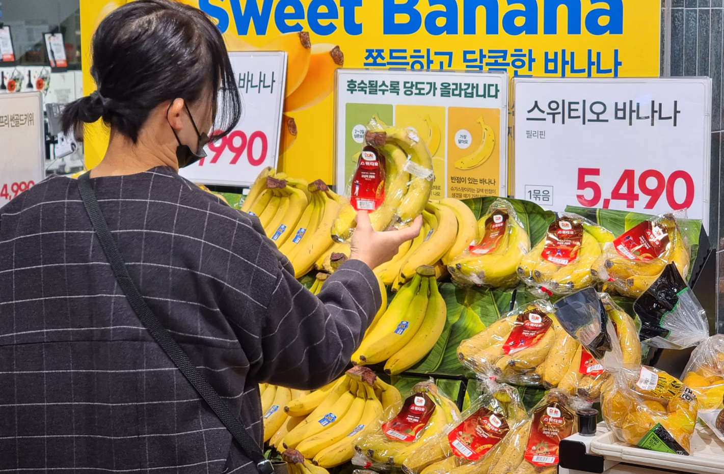 ​외국은 오렌지 가격 내리는 중인데 한국만 비싸졌어요
