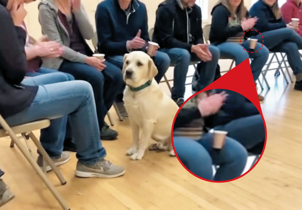 강아지가 주인 선택하는 입양 영상… 알고 보니 AI래요