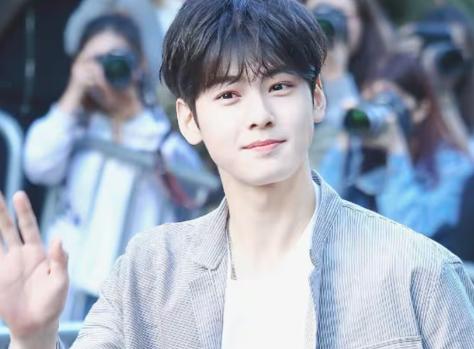 차은우, 어떤 방법으로 탈세했길래 국세청이 벼르고 있을까