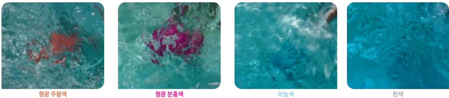 이 중에서 눈에 잘 띄는 수영복 색을 골라 보세요